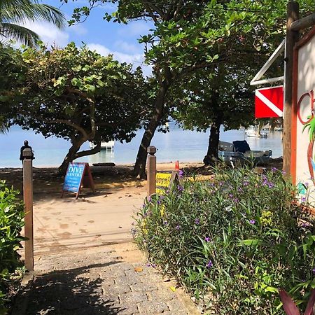 Hotel Chillies And Native Sons Diving West End Extérieur photo