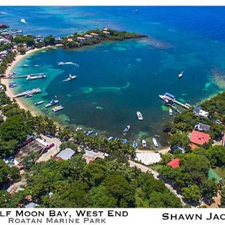 Hotel Chillies And Native Sons Diving West End Extérieur photo