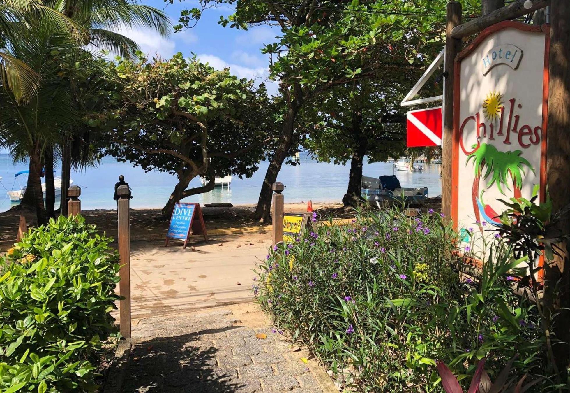 Hotel Chillies And Native Sons Diving West End Extérieur photo