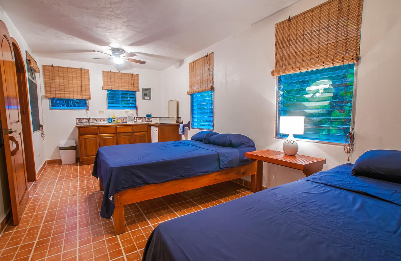 Hotel Chillies And Native Sons Diving West End Extérieur photo