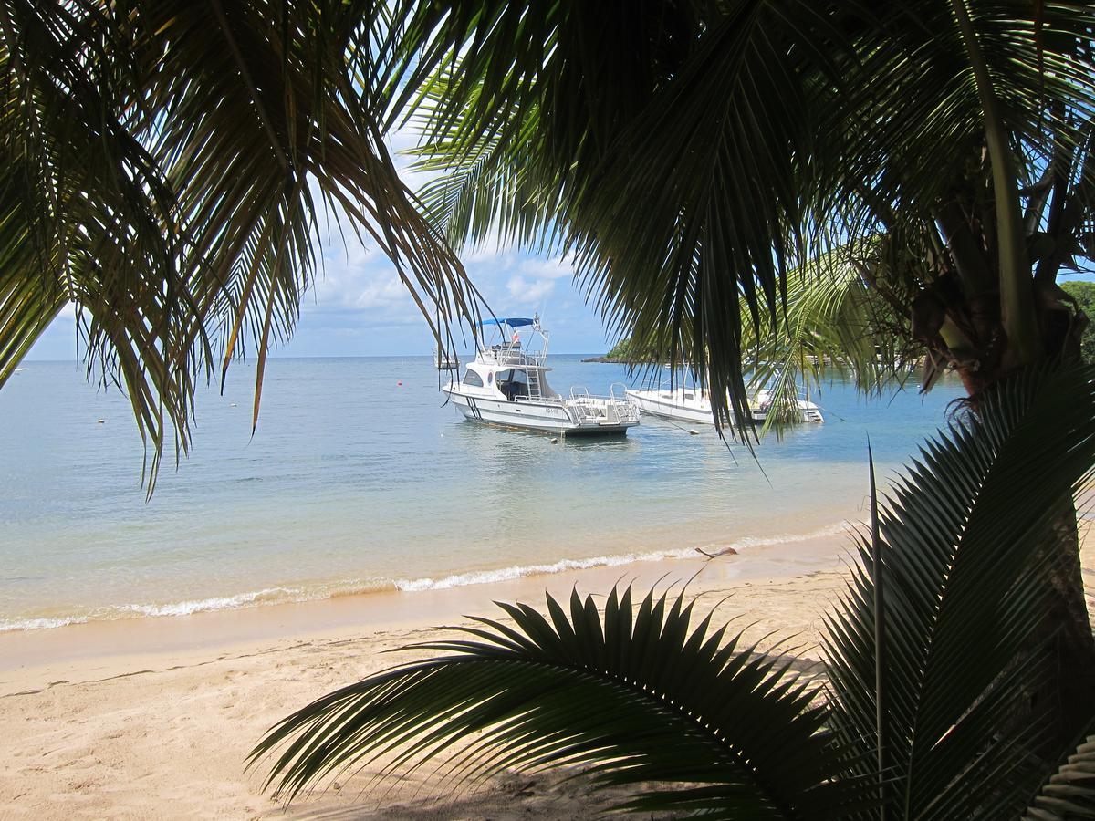 Hotel Chillies And Native Sons Diving West End Extérieur photo