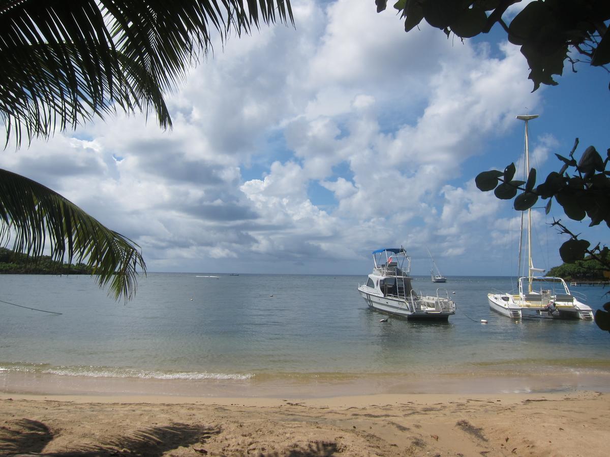 Hotel Chillies And Native Sons Diving West End Extérieur photo