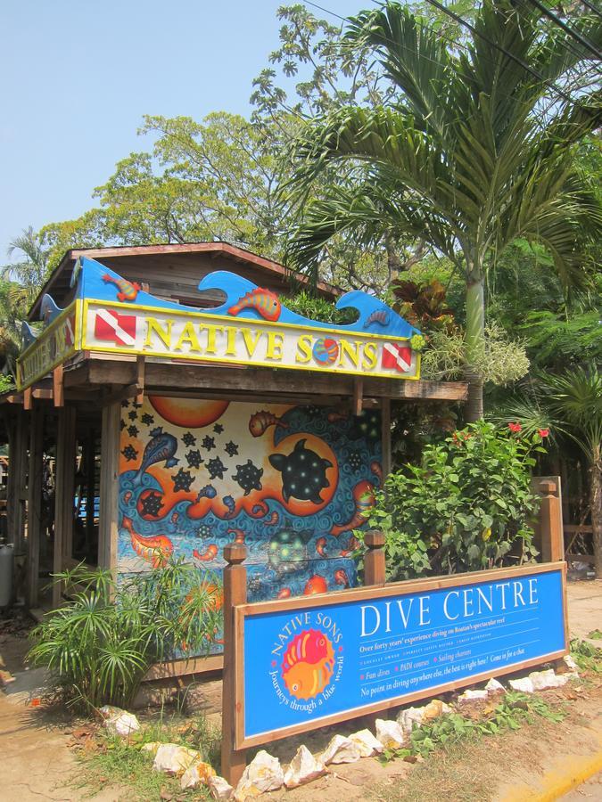 Hotel Chillies And Native Sons Diving West End Extérieur photo