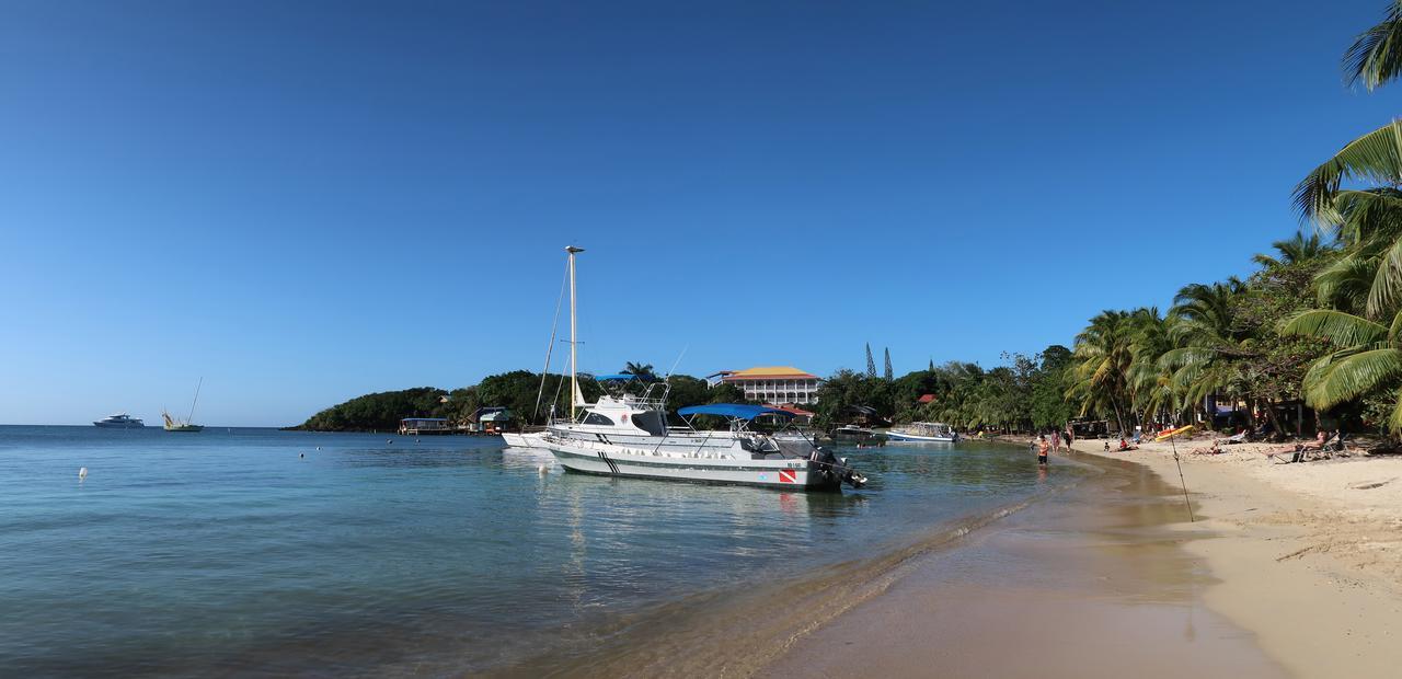 Hotel Chillies And Native Sons Diving West End Extérieur photo