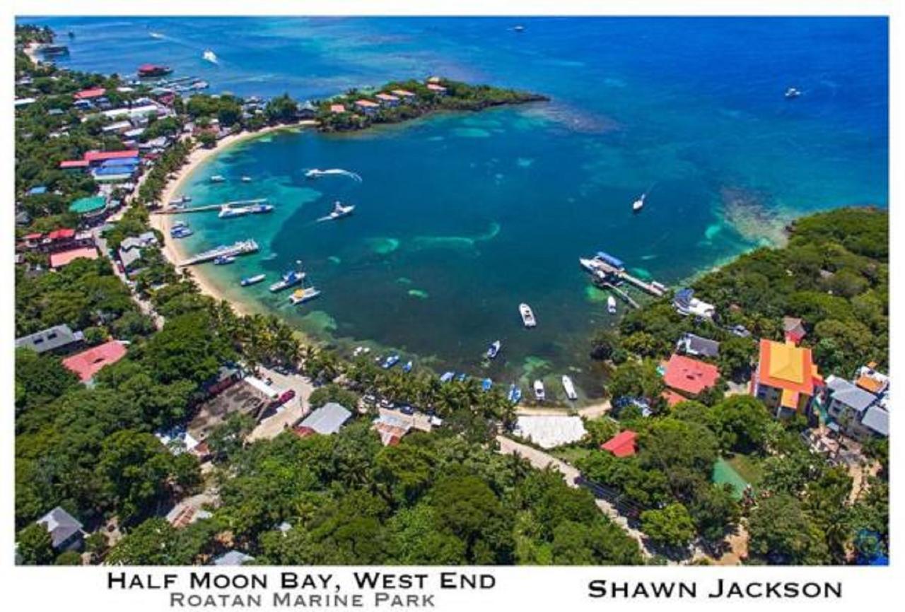 Hotel Chillies And Native Sons Diving West End Extérieur photo